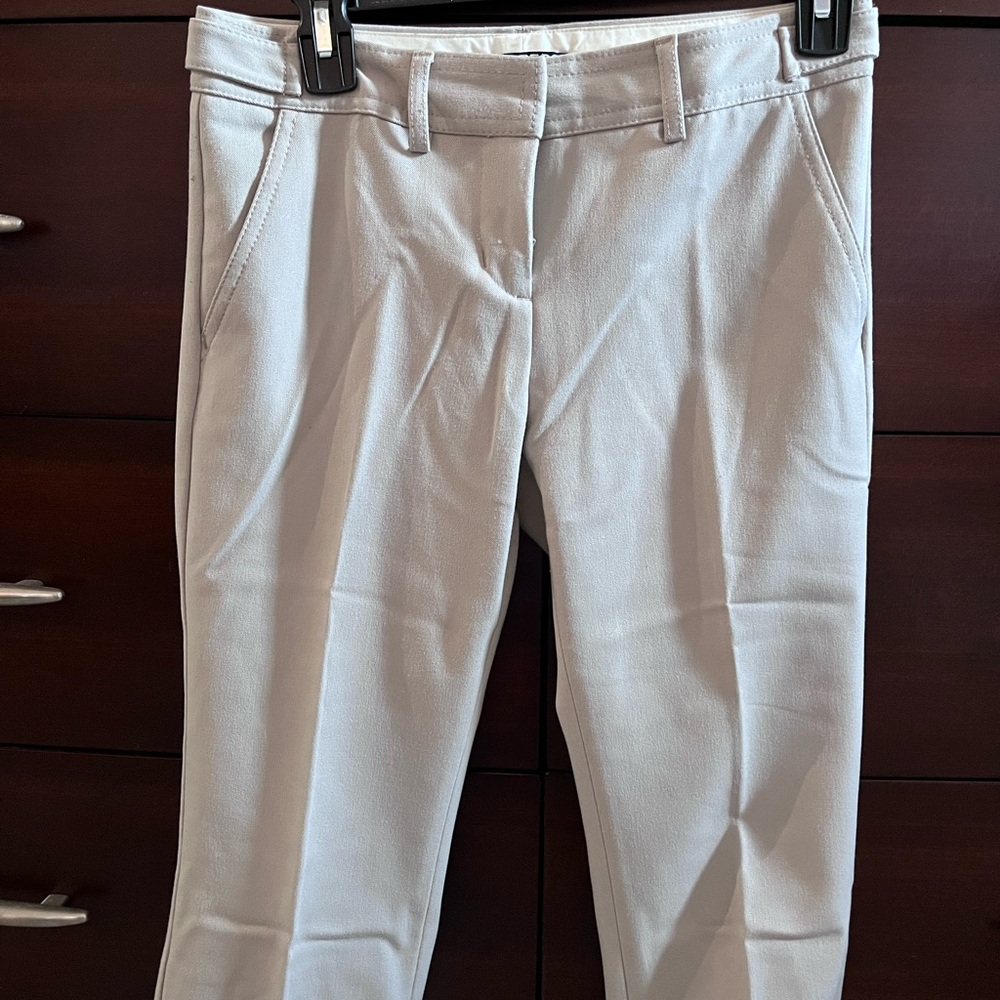 Express columnist straight leg pants